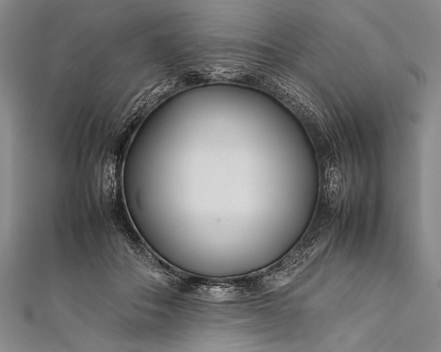 X0000112370506200908271321