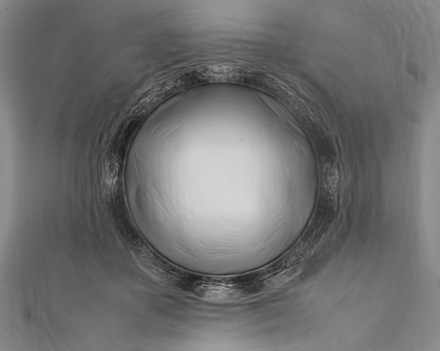 X0000112370507200908271321