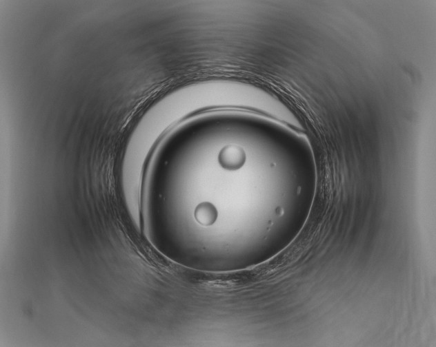 X0000112370508200908271321