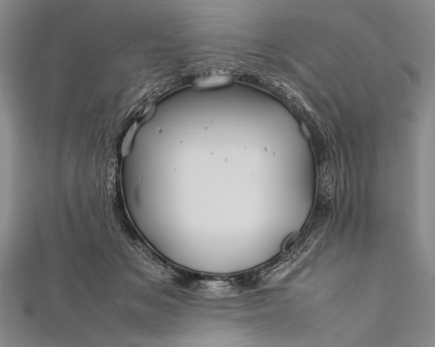 X0000112370509200908271321