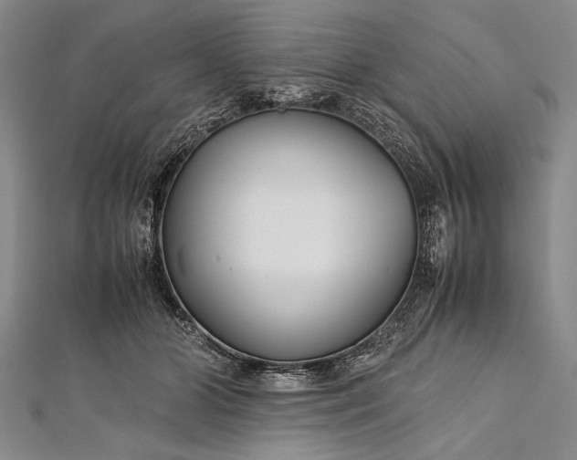 X0000112370510200908271321