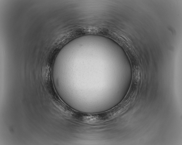 X0000112370511200908271321