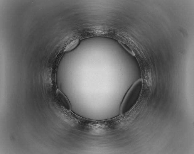 X0000112370512200908271321