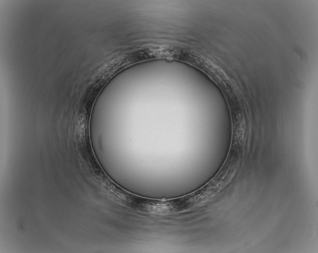 X0000112370513200908271321