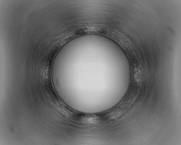 X0000112370514200908271321