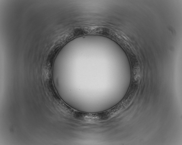 X0000112370515200908271321