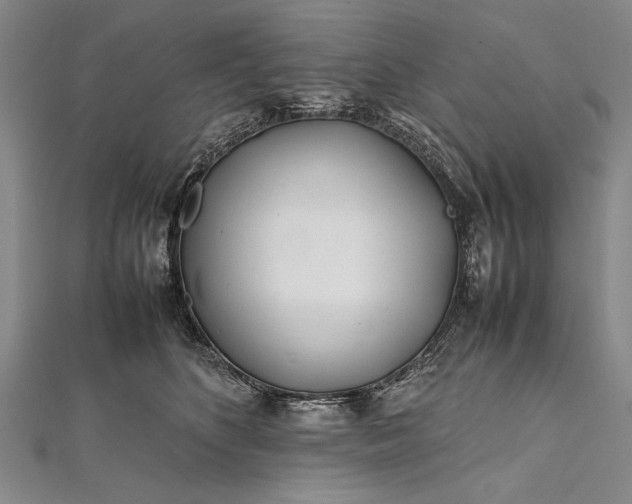 X0000112370516200908271321