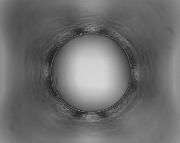 X0000112370517200908271321