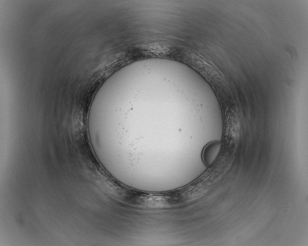 X0000112370518200908271321