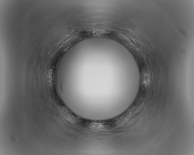 X0000112370519200908271321