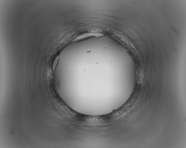 X0000112370521200908271321