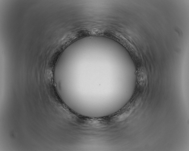 X0000112370523200908271321