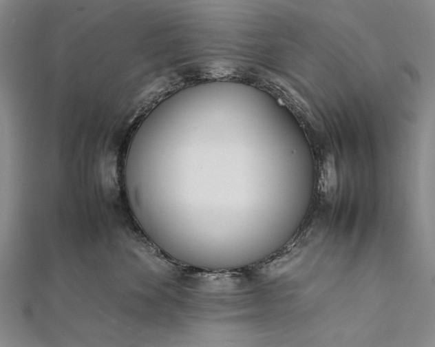 X0000112370524200908271321