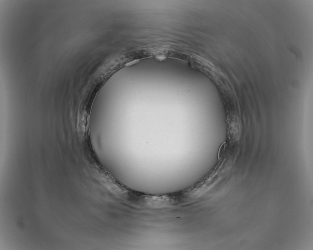 X0000112370525200908271321