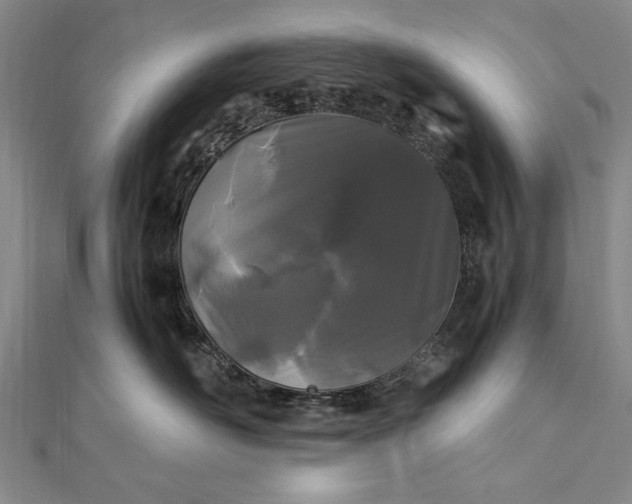 X0000112370526200908271321