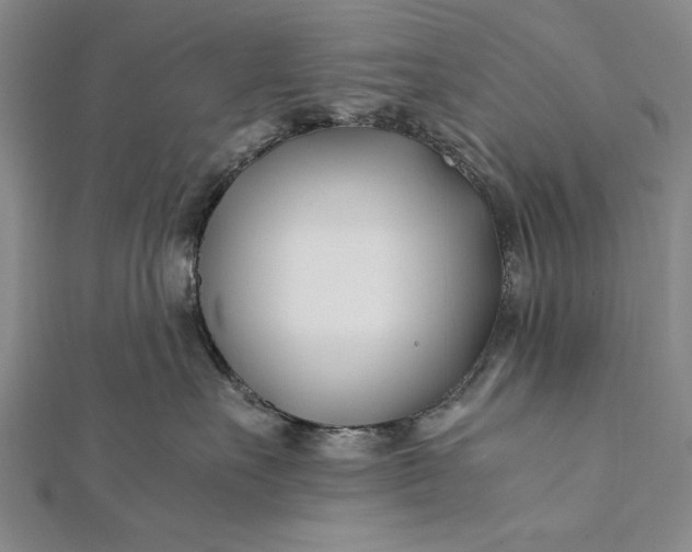 X0000112370527200908271321