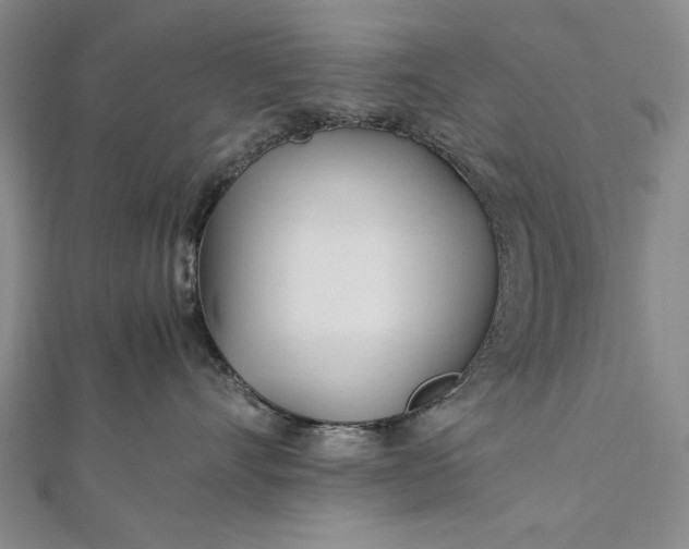 X0000112370528200908271321