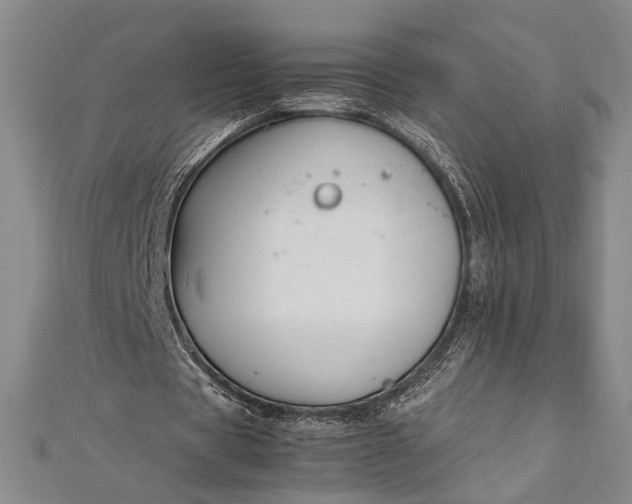 X0000112370529200908271320