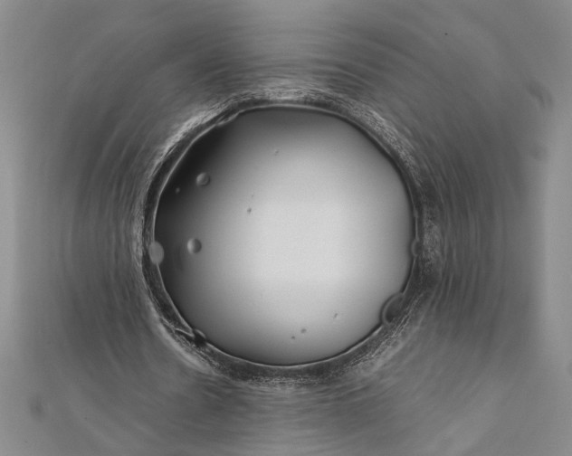 X0000112370530200908271320