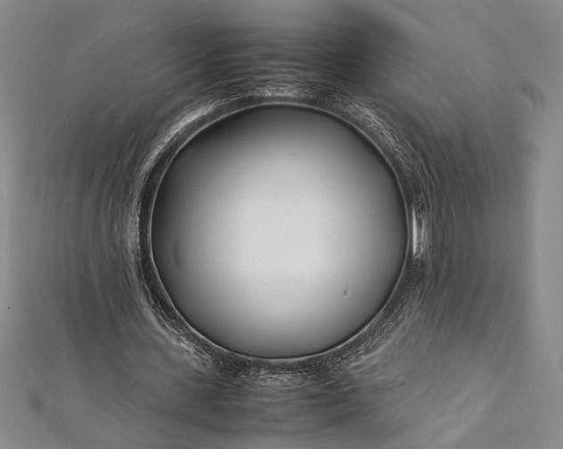 X0000112370531200908271320