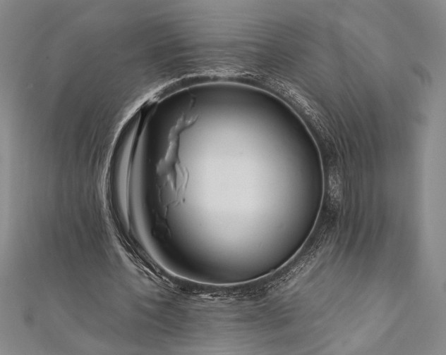 X0000112370532200908271320