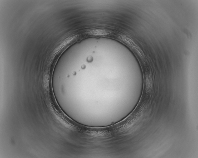 X0000112370533200908271320