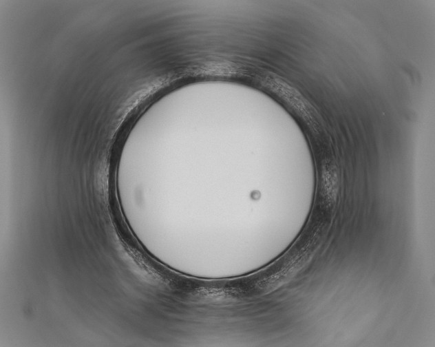 X0000112370534200908271320