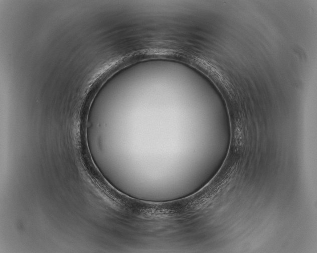 X0000112370535200908271320