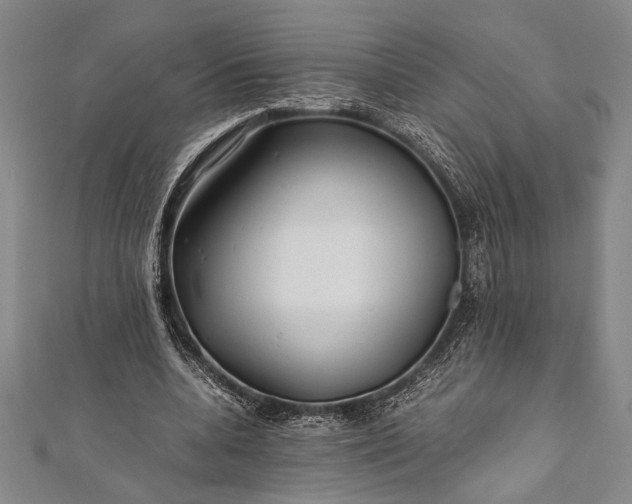 X0000112370536200908271320