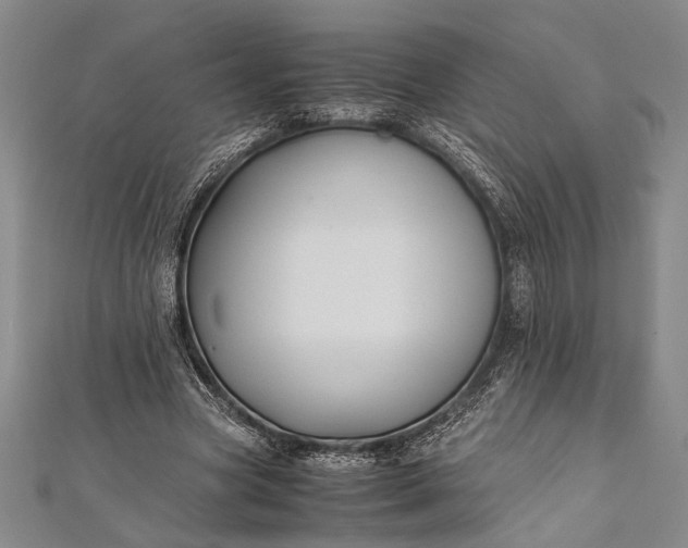 X0000112370537200908271320