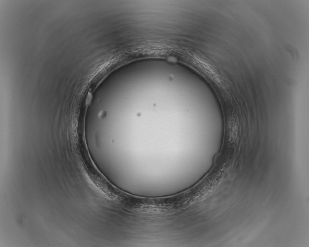 X0000112370538200908271320