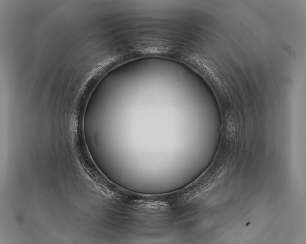 X0000112370539200908271320