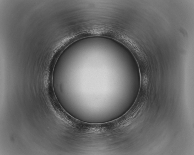 X0000112370540200908271320