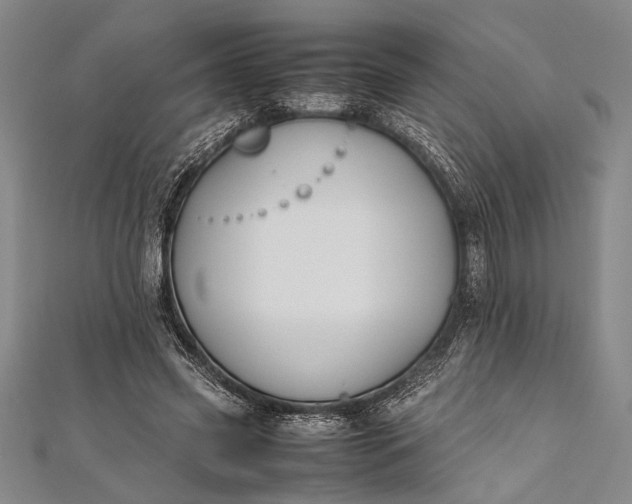 X0000112370541200908271320