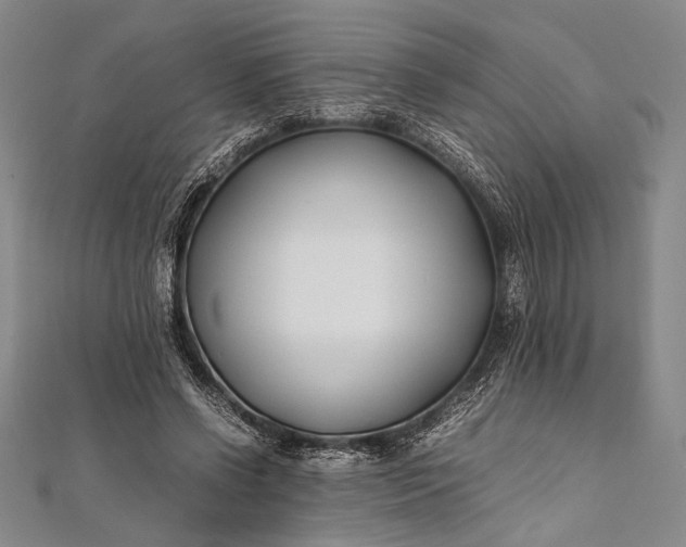 X0000112370542200908271320