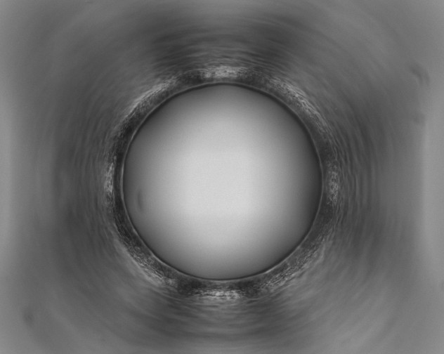 X0000112370543200908271320