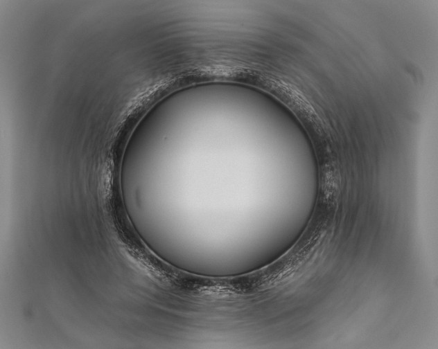 X0000112370544200908271320