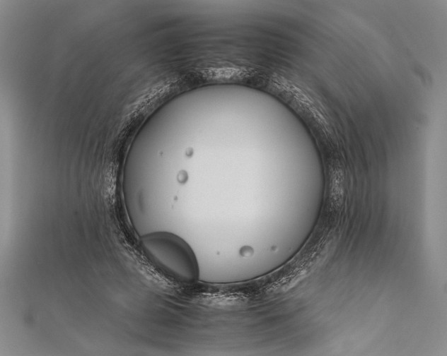 X0000112370545200908271320