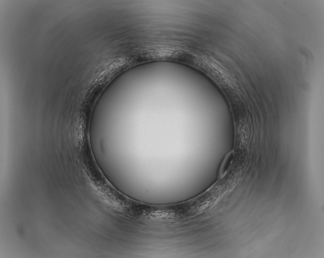 X0000112370546200908271320