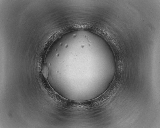 X0000112370547200908271320