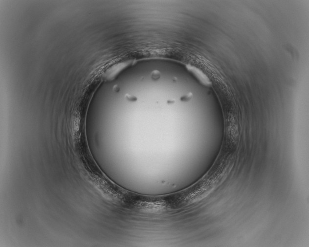 X0000112370548200908271320