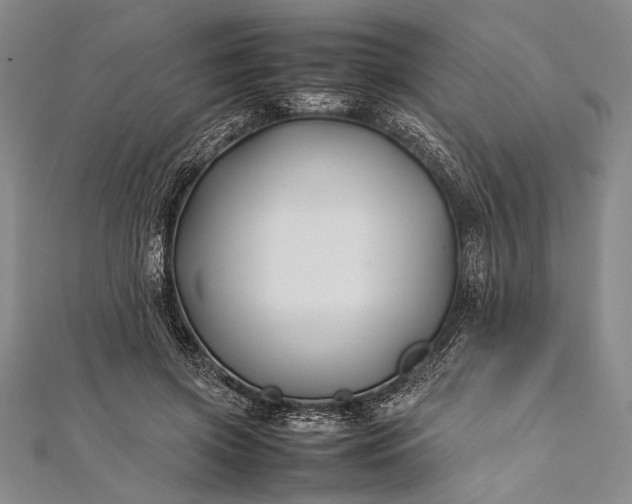 X0000112370549200908271320