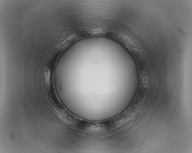 X0000112370550200908271320