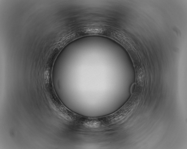 X0000112370551200908271320