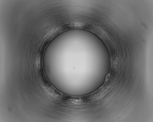 X0000112370552200908271320