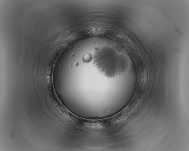 X0000112370553200908271321