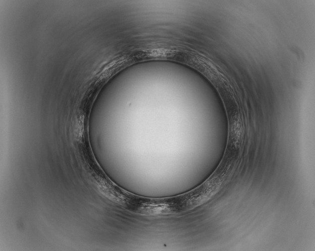 X0000112370554200908271321