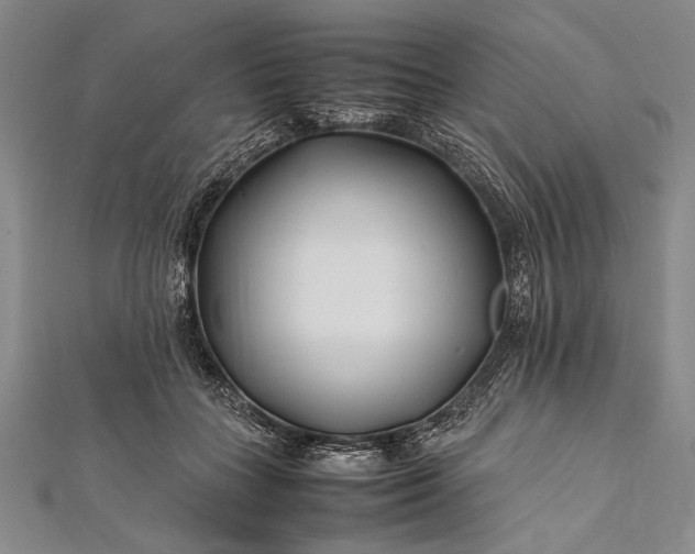 X0000112370555200908271321