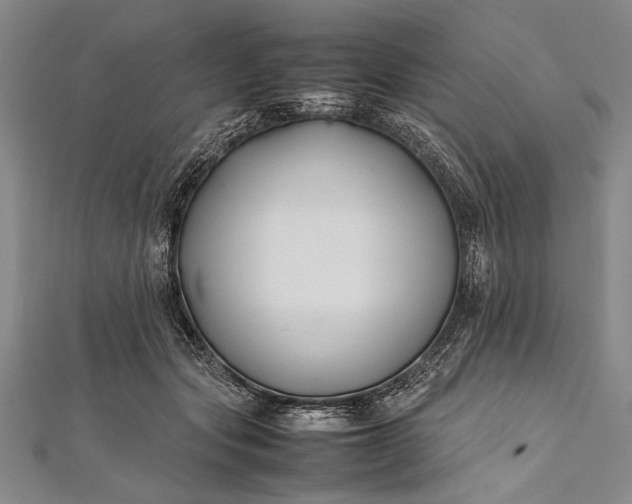 X0000112370557200908271321