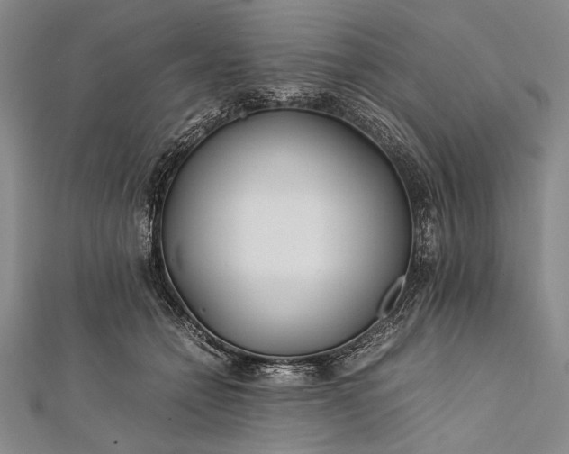 X0000112370558200908271321